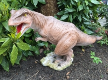 Dinosaur, beautiful statue of a Tyrannosaurus